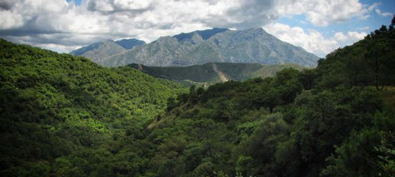 Complejo geriatrico Parque Natural Andalucia77 Foto: Flickr